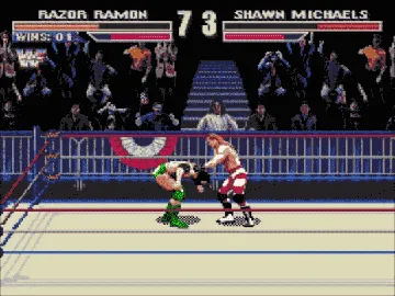 WWF WrestleMania - The Arcade Game (USA) (Alpha) screen shot game playing